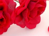 Valentine's Day in Sorrento Coast
